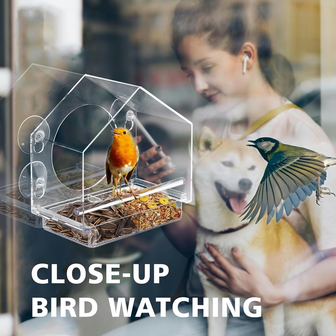 Window Bird Feeder with Strong Suction Cups