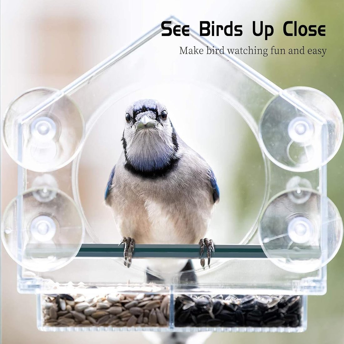 Window Bird Feeder with Strong Suction Cups