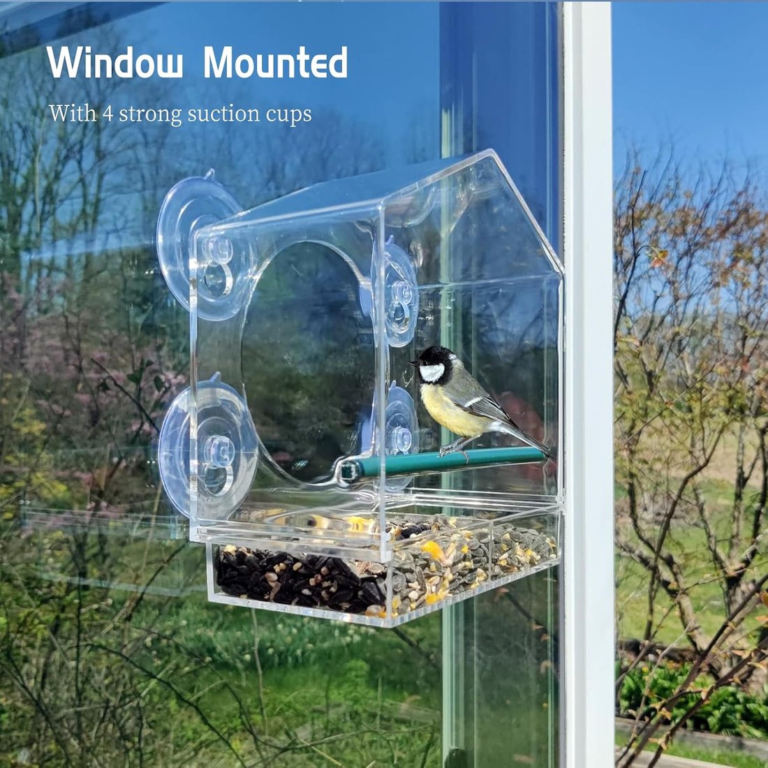 Window Bird Feeder with Strong Suction Cups