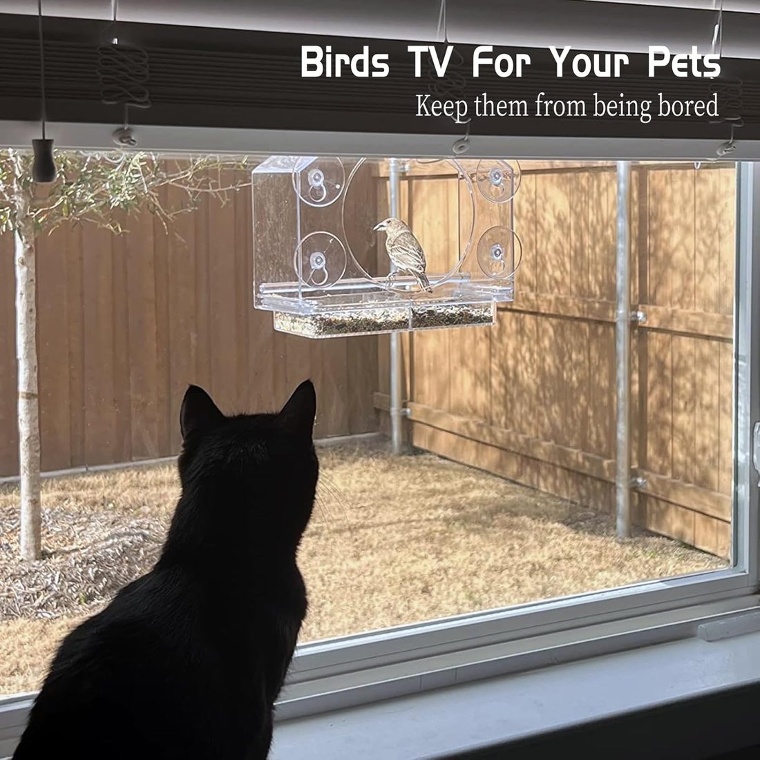 Window Bird Feeder with Strong Suction Cups
