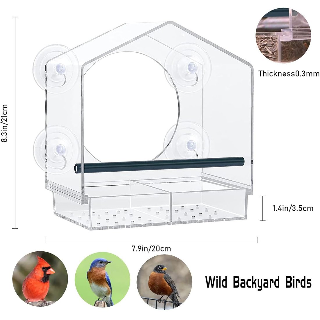 Window Bird Feeder with Strong Suction Cups