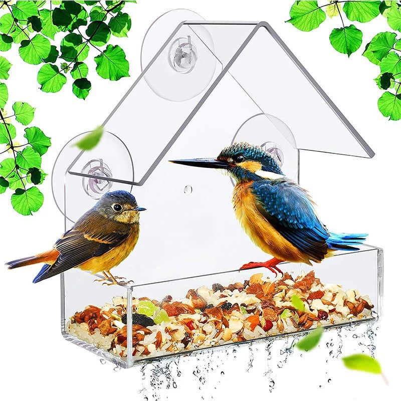 Window Bird Feeder with Strong Suction Cups