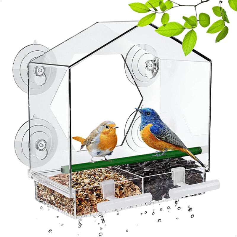 Window Bird Feeder with Strong Suction Cups