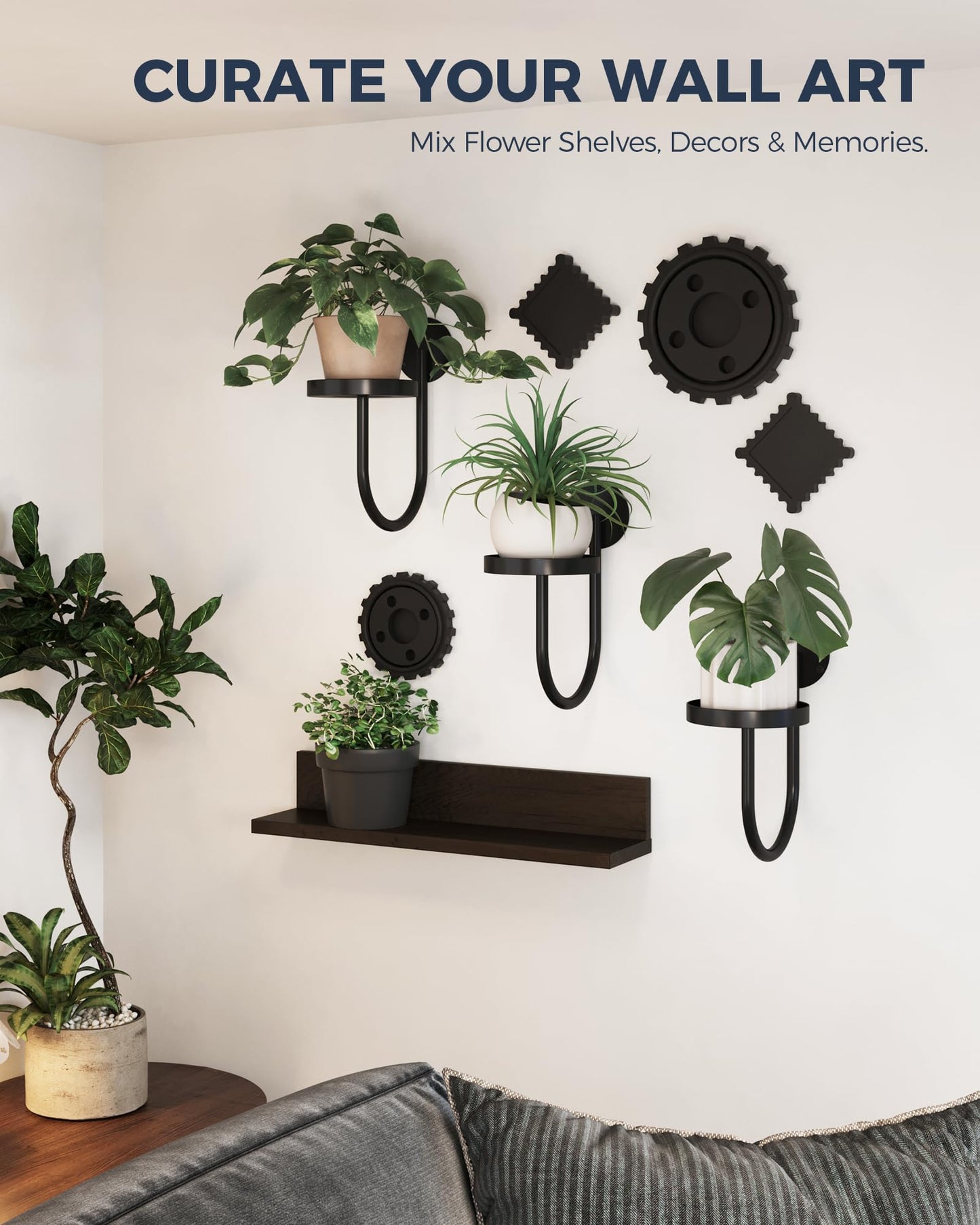 2025 New Arrival✨ Wall Plant Holders Modern Indoor Window Plant Hangers
