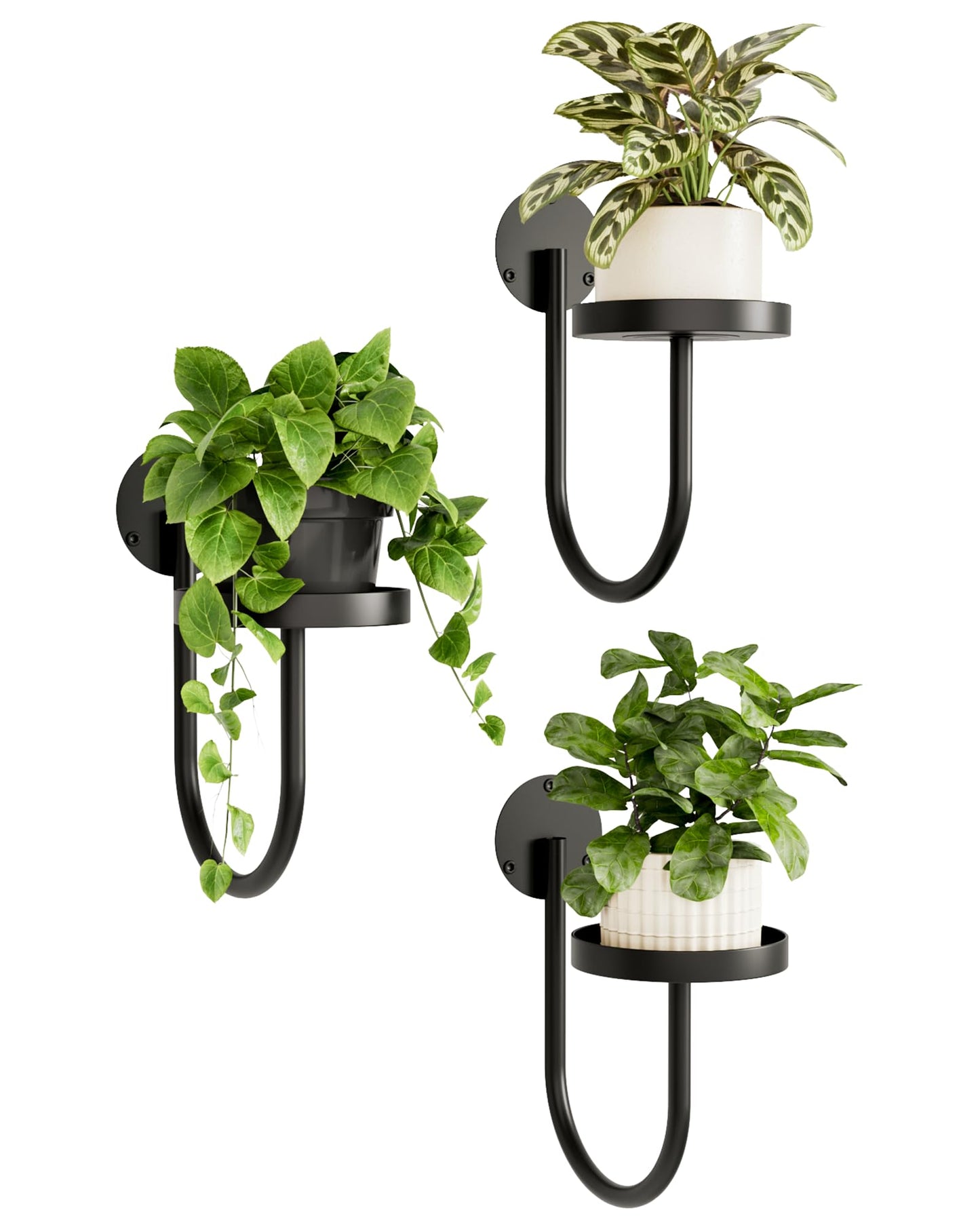 2025 New Arrival✨ Wall Plant Holders Modern Indoor Window Plant Hangers