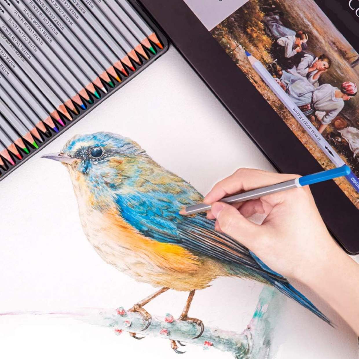 😍2025 Best Value Pack-High Chroma Colored Pencil Set