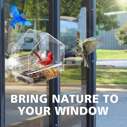 Window Bird Feeder with Strong Suction Cups