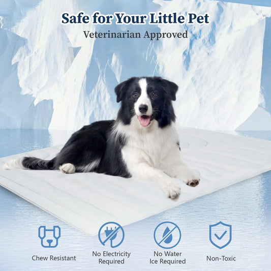 🧊2025 Summer Special 💥 Limited Time 49% OFF 🐕 Heatstroke Prevention And Cooling Pet Cooling Pad
