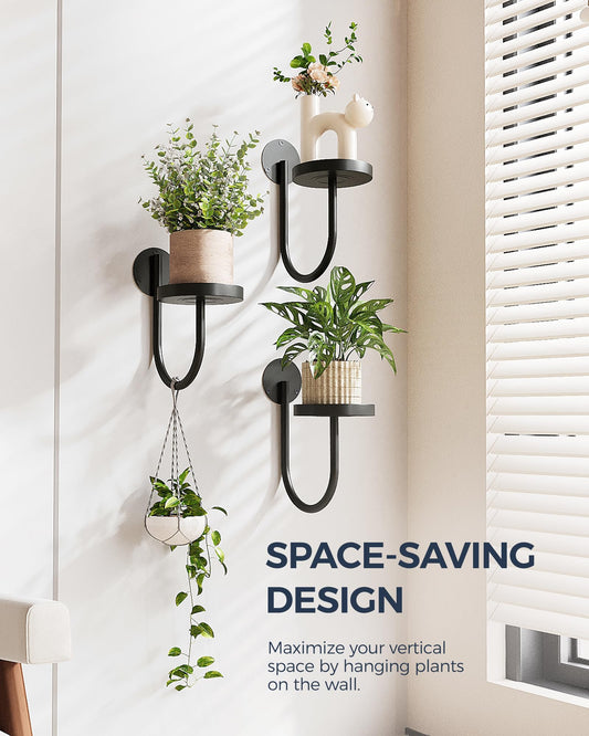 2025 New Arrival✨ Wall Plant Holders Modern Indoor Window Plant Hangers