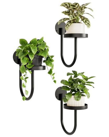 2025 New Arrival✨ Wall Plant Holders Modern Indoor Window Plant Hangers