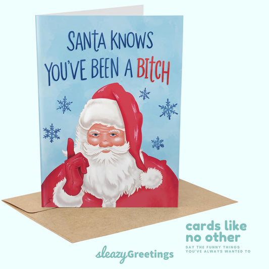 The Worst Christmas Cards Ever Set(Blank Inside)