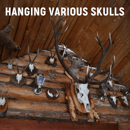 🎄2025 Christmas Sale - Christmas European Mount Skull Wall Hanger Hook