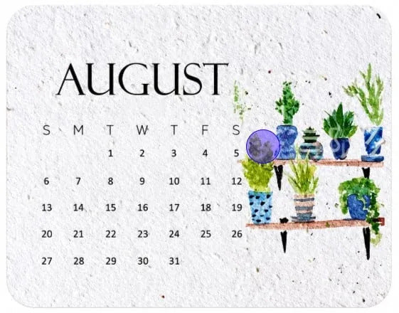 ✨🏆Early Holiday Sale 49% OFF🌱Eco-Friendly Plantable “Timeless” Seed Calendar 2027